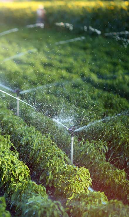 Alabama Greenscapes, LLC Irrigation System Repair